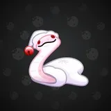 Pet Snake #86 Pet Snake #86