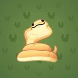 Pet Snake #8926 Pet Snake #8926