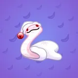Pet Snake #9840