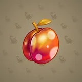 Precious Peach #107 Precious Peach #107