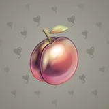 Precious Peach #1103 Precious Peach #1103