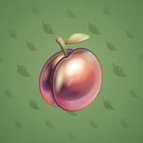 Precious Peach #1127 Precious Peach #1127