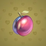 Precious Peach #1146 Precious Peach #1146
