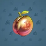 Precious Peach #1298 Precious Peach #1298