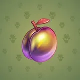 Precious Peach #13 Precious Peach #13