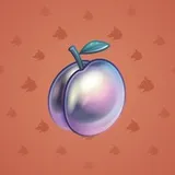 Precious Peach #1308 Precious Peach #1308