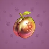 Precious Peach #1317 Precious Peach #1317