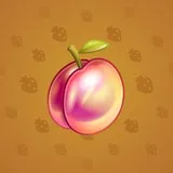 Precious Peach #1335 Precious Peach #1335