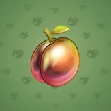 Precious Peach #1353 Precious Peach #1353