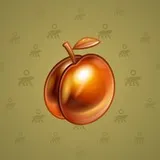 Precious Peach #1395 Precious Peach #1395