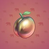 Precious Peach #1443 Precious Peach #1443