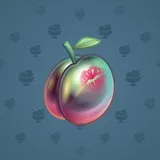Precious Peach #1494 Precious Peach #1494