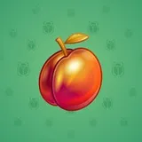 Precious Peach #1510 Precious Peach #1510