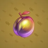 Precious Peach #155 Precious Peach #155