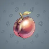 Precious Peach #1562