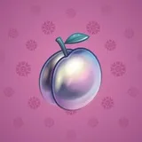 Precious Peach #1565