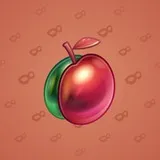 Precious Peach #1571 Precious Peach #1571
