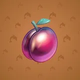 Precious Peach #1574 Precious Peach #1574