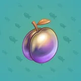 Precious Peach #1579 Precious Peach #1579
