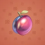 Precious Peach #1596 Precious Peach #1596