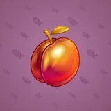 Precious Peach #162 Precious Peach #162