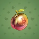 Precious Peach #1623 Precious Peach #1623
