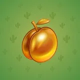 Precious Peach #1685 Precious Peach #1685