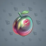Precious Peach #1702 Precious Peach #1702