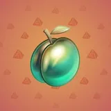 Precious Peach #1706