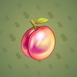 Precious Peach #1731 Precious Peach #1731