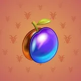 Precious Peach #1742 Precious Peach #1742