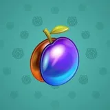 Precious Peach #1754 Precious Peach #1754