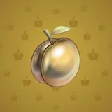 Precious Peach #1764 Precious Peach #1764
