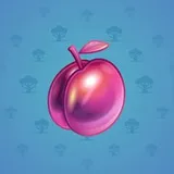 Precious Peach #1777