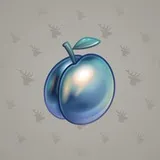 Precious Peach #1803 Precious Peach #1803