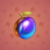 Precious Peach #1816 Precious Peach #1816