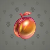 Precious Peach #1837 Precious Peach #1837