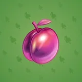Precious Peach #1849