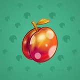 Precious Peach #1865