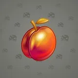 Precious Peach #1934 Precious Peach #1934