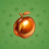 Precious Peach #196 Precious Peach #196