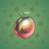 Precious Peach #2006 Precious Peach #2006