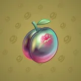 Precious Peach #2023 Precious Peach #2023