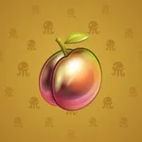 Precious Peach #2042 Precious Peach #2042