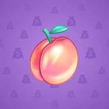 Precious Peach #2067 Precious Peach #2067