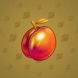 Precious Peach #213 Precious Peach #213