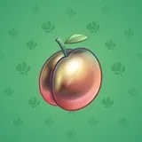 Precious Peach #2142 Precious Peach #2142