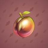 Precious Peach #2180
