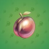 Precious Peach #2192 Precious Peach #2192