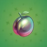 Precious Peach #2216 Precious Peach #2216